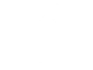 Elegant Noise Records
