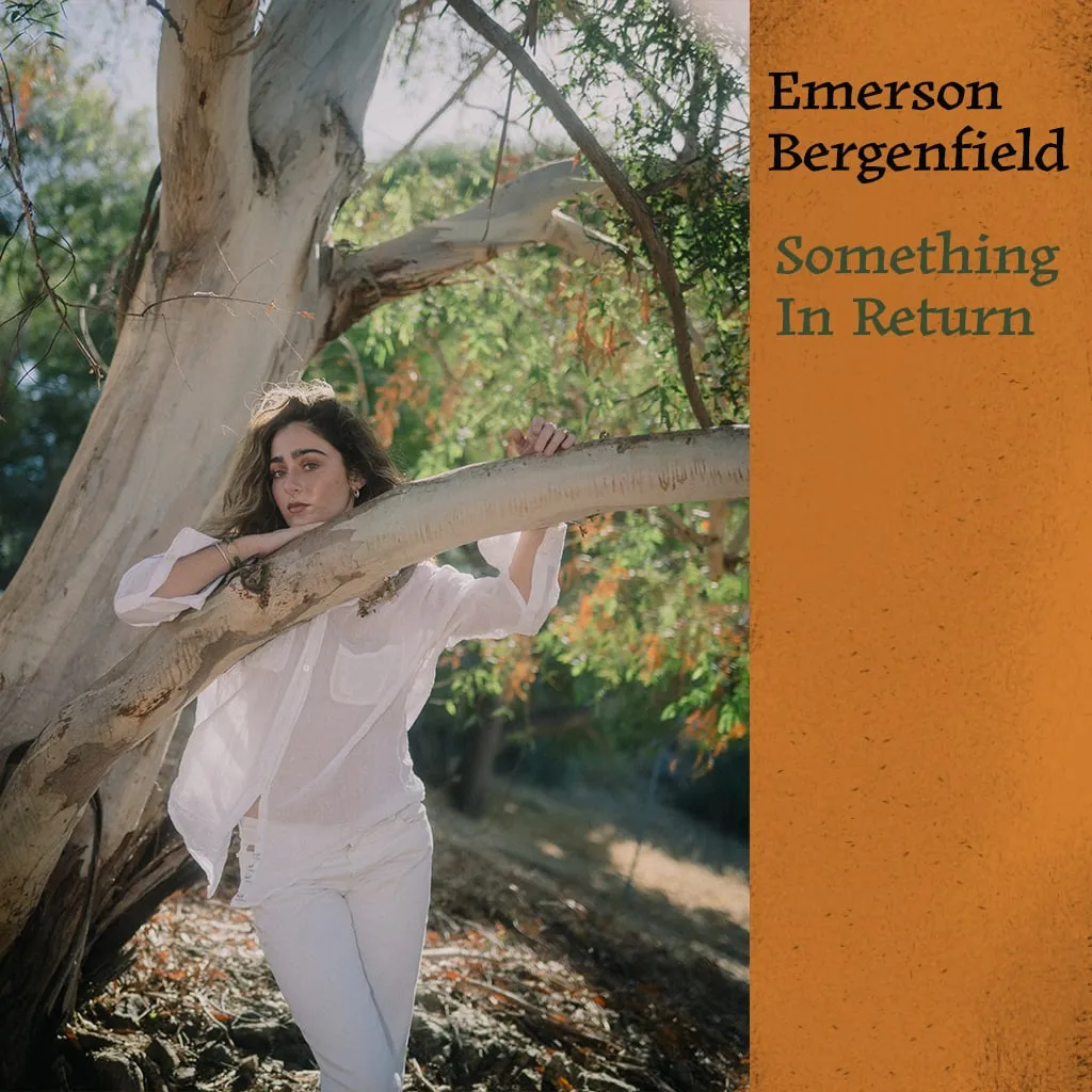 Something In Return cover